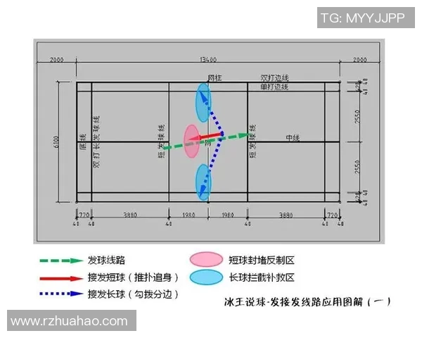 深圳羽毛球队战术解析与控制体系的深度剖析与应用探讨